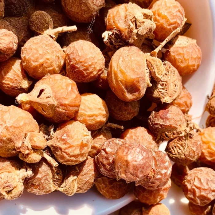 Soap Nuts